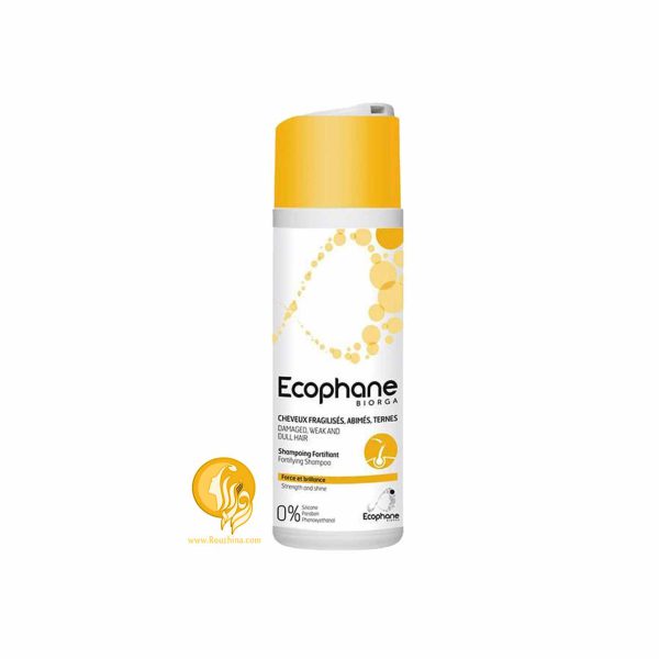 شامپو تقویت کننده اکوفن بایورگا Biorga Ecophane Fortifying Hair Shampoo 200ml