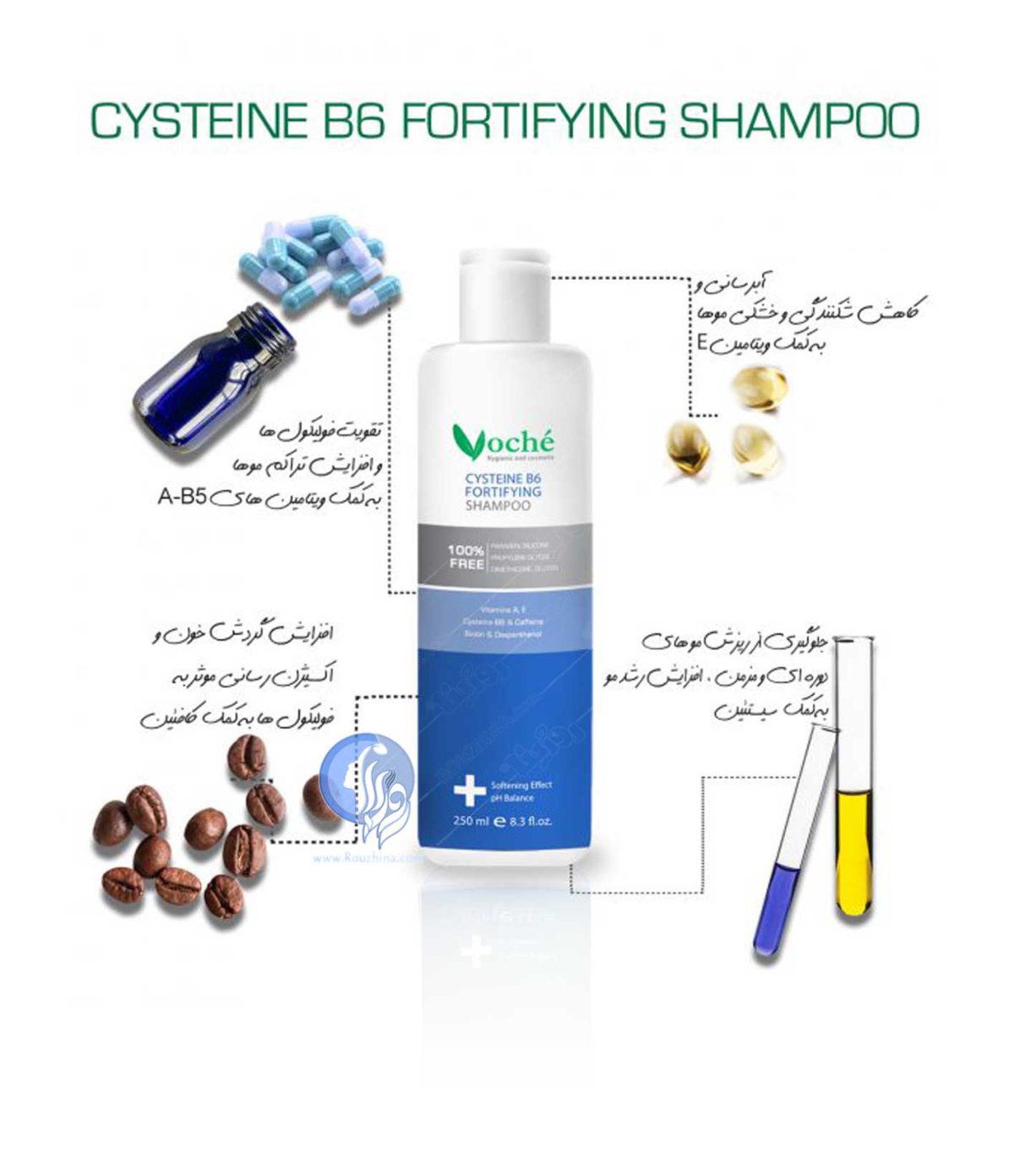 مشخصات، قیمت و خرید شامپو تقویت کننده سیستئین و ویتامین B6 وچه Voche مناسب موهای چرب